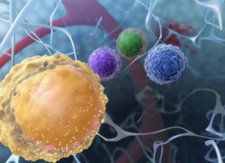 Latest Blood Cancer Research Updates – Voice of Biotecnika