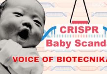 CRISPR Baby Scandal – All You Need To Know