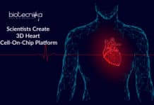 Scientists Create 3D Heart Cell-On-Chip Platform Scientists Create 3D Heart Cell-On-Chip Platform