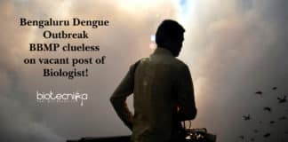 Bengaluru Dengue Outbreak: BBMP clueless on vacant post of Biologist!