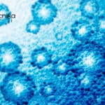 Studies Reveal Biological Risk Potential of Nano-particles Biological risk potential of nanoparticles
