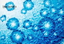 Studies Reveal Biological Risk Potential of Nano-particles Biological risk potential of nanoparticles