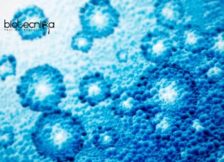 Studies Reveal Biological Risk Potential of Nano-particles Biological risk potential of nanoparticles