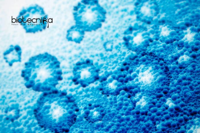 Biological risk potential of nanoparticles