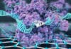 CRISPR-Chip Detect Genetic Mutations In Minutes CRISPR-Chip detect Genetic Mutations