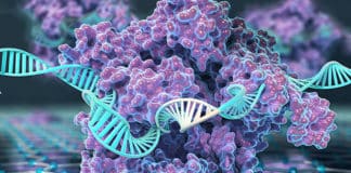 CRISPR-Chip detect Genetic Mutations