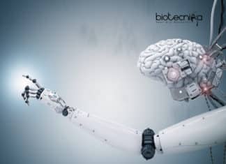 Cyborg Organoids For Viewing Early Stages Of Organ Development Cyborg Organoids For Viewing Early Stages Of Organ Development