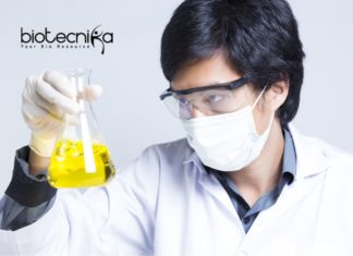 GEER Foundation BSc / MSc Life Sciences Laboratory Assistant Vacancy GEER Foundation
