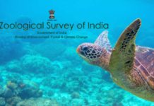 Govt ZSI Life Science Research Assistant Salary – Rs.44,900/- + HRA Govt ZSI Life Science