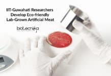 IIT-Guwahati Researchers Develop Eco-friendly Lab-Grown Artificial Meat