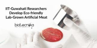 IIT-Guwahati Researchers Develop Eco-friendly Lab-Grown Artificial Meat