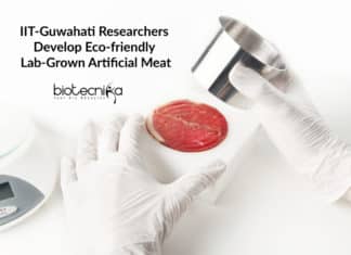 IIT-Guwahati Researchers Develop Eco-friendly Lab-Grown Artificial Meat IIT-Guwahati Researchers Develop Eco-friendly Lab-Grown Artificial Meat