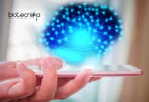 Manipulation of Brain Cells Now Possible Using Smartphones Manipulation of Brain Cells Now Possible Using Smartphones