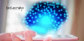 Manipulation of Brain Cells Now Possible Using Smartphones