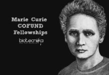 Marie Curie COFUND Junior & Senior Fellowships Program 2020-21 Marie Curie COFUND