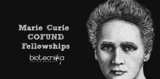 Marie Curie COFUND