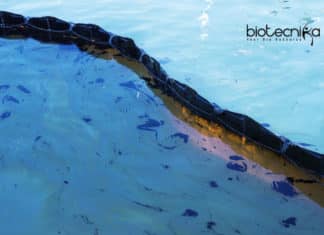 “Methanoliparia” – Microbes That Degrades Oil To Gas Microbe Degrades Oil to Gas