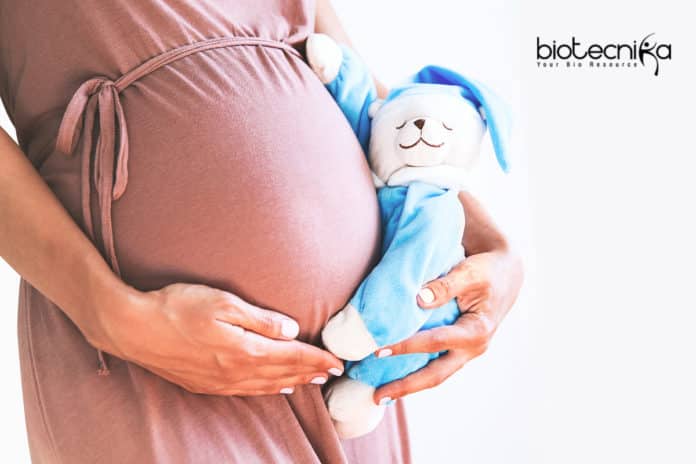 New Study Unlocks Mysteries Of Mother-Baby Communication During Pregnancy