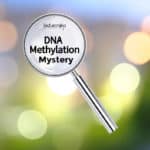 Mystery of DNA Methylation Unlocked by Scientists Mystery of DNA Methylation