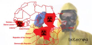 New Experimental Drugs Against Ebola Virus