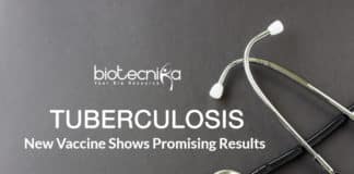 Researchers from the Centenary Institute and the University of Sydney have successfully developed and tested on mice, a new type of vaccine targeting tuberculosis (TB)