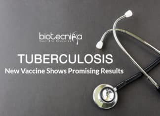Researchers from the Centenary Institute and the University of Sydney have successfully developed and tested on mice, a new type of vaccine targeting tuberculosis (TB)