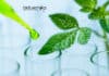 Researchers Develop New Modular Vaccination Kit For Plant Protection Plant Protection Vaccination Kit Developed by Researchers