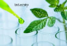 Researchers Develop New Modular Vaccination Kit For Plant Protection Plant Protection Vaccination Kit Developed by Researchers