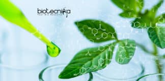 Plant Protection Vaccination Kit Developed by Researchers