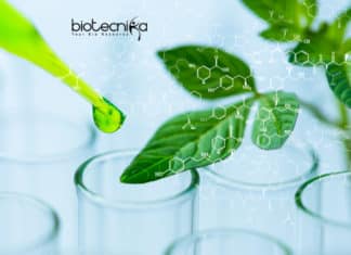 Plant Protection Vaccination Kit Developed by Researchers