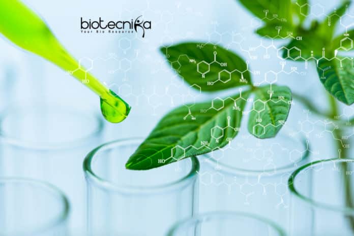 Plant Protection Vaccination Kit Developed by Researchers