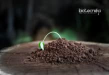 Plants Species Going Extinct 350 Times Faster Than Ever Before Plants Species Going Extinct 350 Times Faster Than Ever Before