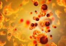 IIT Kgp Scientists Develop Pre-Screening Tool For Cancer Using Machine Learning Pre-Screening Tool For Cancer