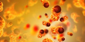 Pre-Screening Tool For Cancer