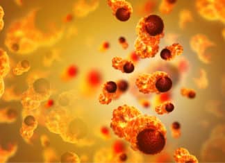 IIT Kgp Scientists Develop Pre-Screening Tool For Cancer Using Machine Learning Pre-Screening Tool For Cancer