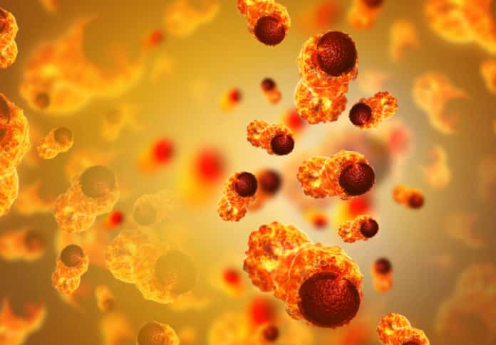 Pre-Screening Tool For Cancer