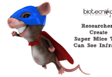 Researchers Create Super-Mice That Can See Infrared!
