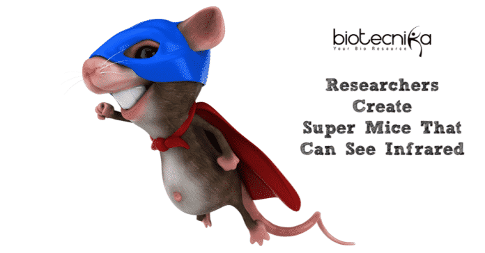 Researchers Create Super-Mice That Can See Infrared!