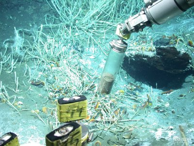 Mi­crobe Degrades Oil to Gas
