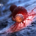 CAR-T Cells Therapy- Leading The Next Cancer Breakthrough