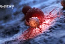 CAR-T Cells Therapy- Leading The Next Cancer Breakthrough CAR-T Cells Therapy- Leading The Next Cancer Breakthrough