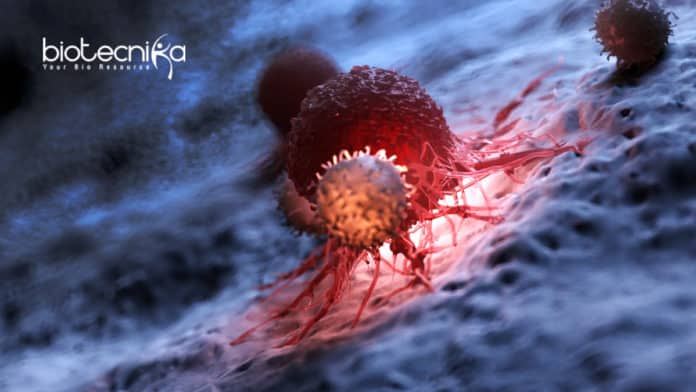 CAR-T Cells Therapy- Leading The Next Cancer Breakthrough