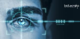 Retina-On-A-Chip To Transform Eye Diseases Treatments & Drug Effects