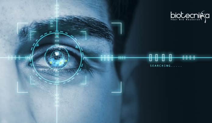 Retina-On-A-Chip To Transform Eye Diseases Treatments & Drug Effects