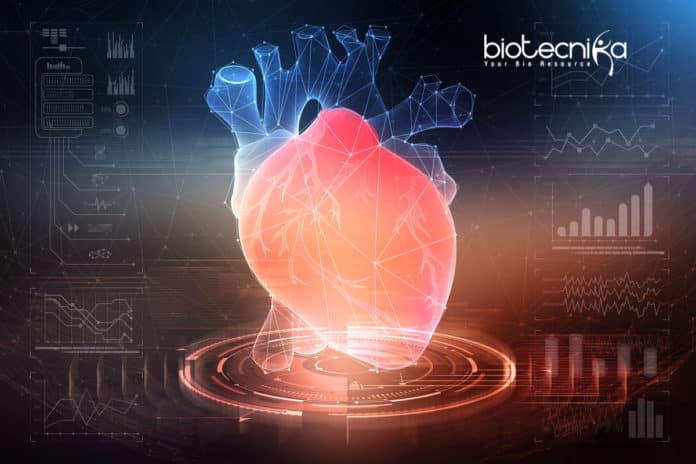 Pig to Human Heart Transplants Could Be a Reality in 3 years