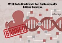 WHO Ban's Genetically Editing Embryos