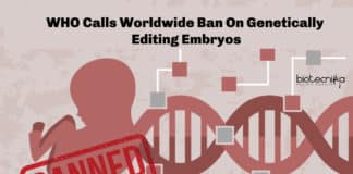 WHO Ban's Genetically Editing Embryos