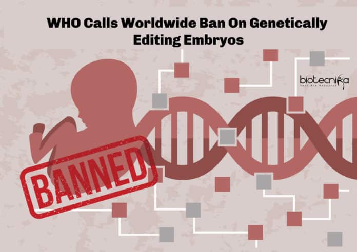 WHO Ban's Genetically Editing Embryos