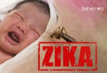 Zika Virus Spreads Silently