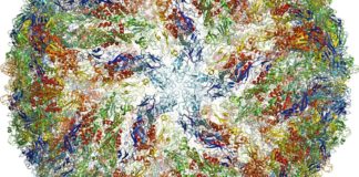 Cryo-EM in Biological Research